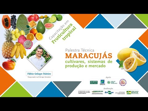 Capacitação em fruticultura tropical: Maracujás - cultivares, sistemas de produção e mercado