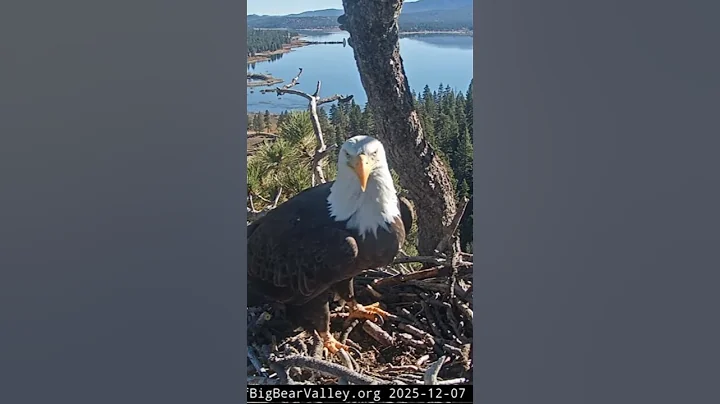 Jackie had a HUGE breakfast! | 12.07.25