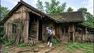 Young Woman Restores an Abandoned Forest House and Builds a Beautiful Self-Sufficient Homestead