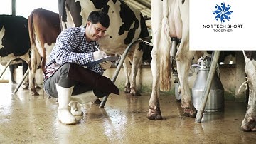 Eseye and Precision Animal Solutions deploy animal behaviour monitoring