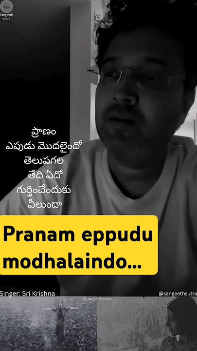 Sing along... aakasam Thakela vadagalai e nela by Sri Krishna, nuvvostanante nennoddantana #SPB#DSP