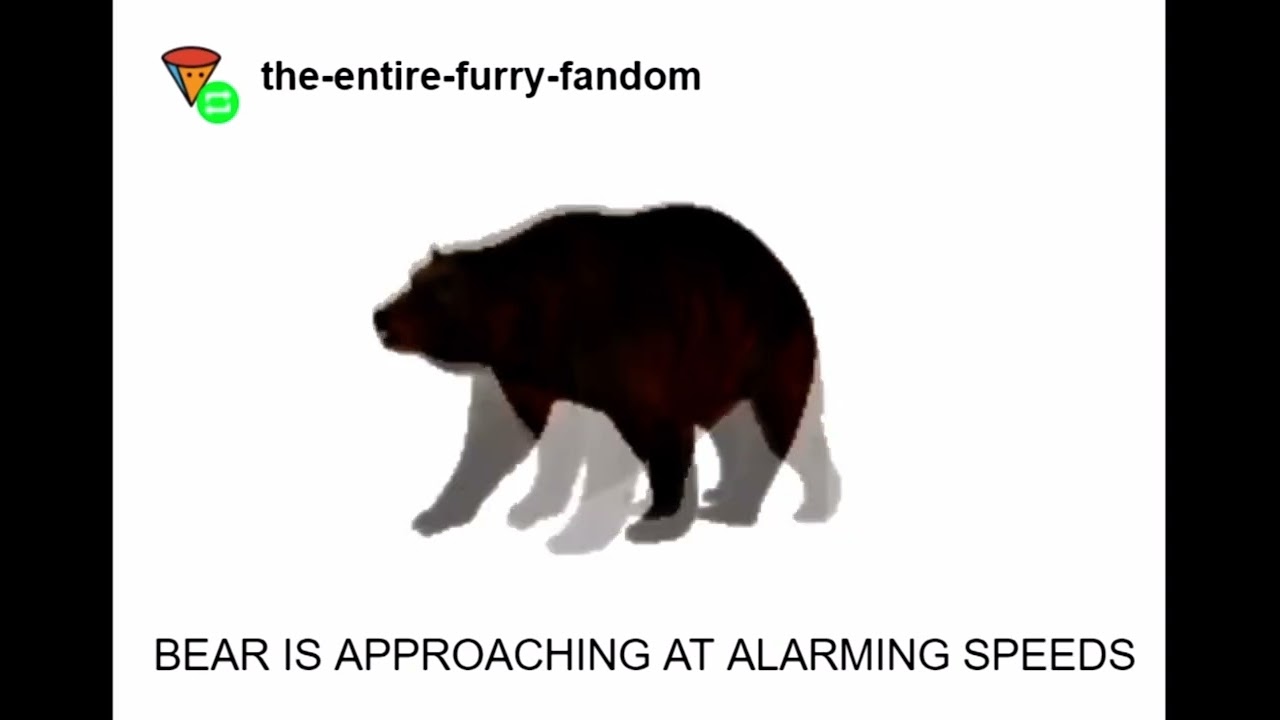 ProZD - Slowly Approaching Bear (trimmed)