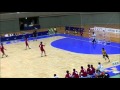 紀の国わかやま国体：ハンドボール成年男子決勝（埼玉ＶＳ愛知）