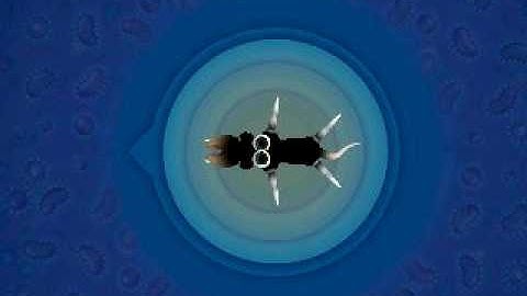 How to become an omnivore 3/3