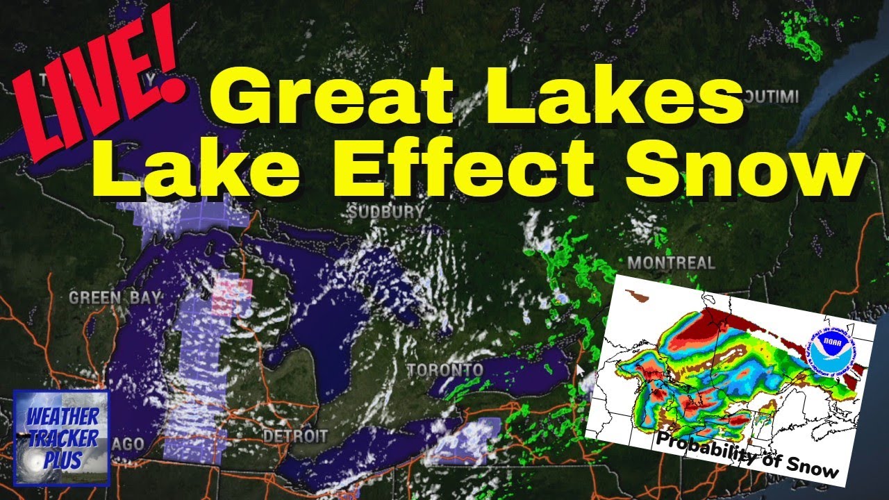 🔴 Live! Great Lakes Lake Effect Snow - Live Weather Channel - YouTube