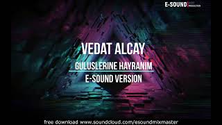 Vedat Alcay - Guluslerine Hayranim  ( E-Sound Version )