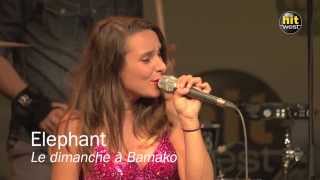 ELEPHANT - Un dimanche à Bamako (Backstage Live - Hit West 2013)
