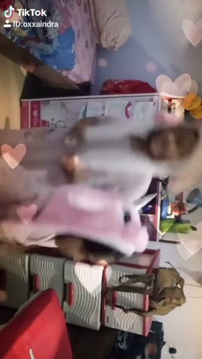 Tiktok lagu salah apa bunny hat