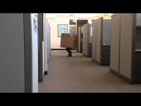 Cardboard box disguise in action - YouTube