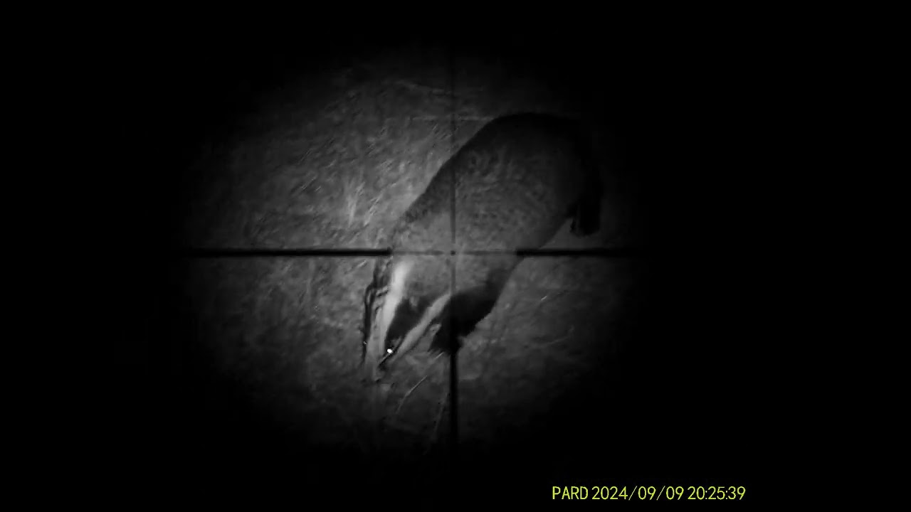 Badger hunting pard NV007V2- the new 007 series V2