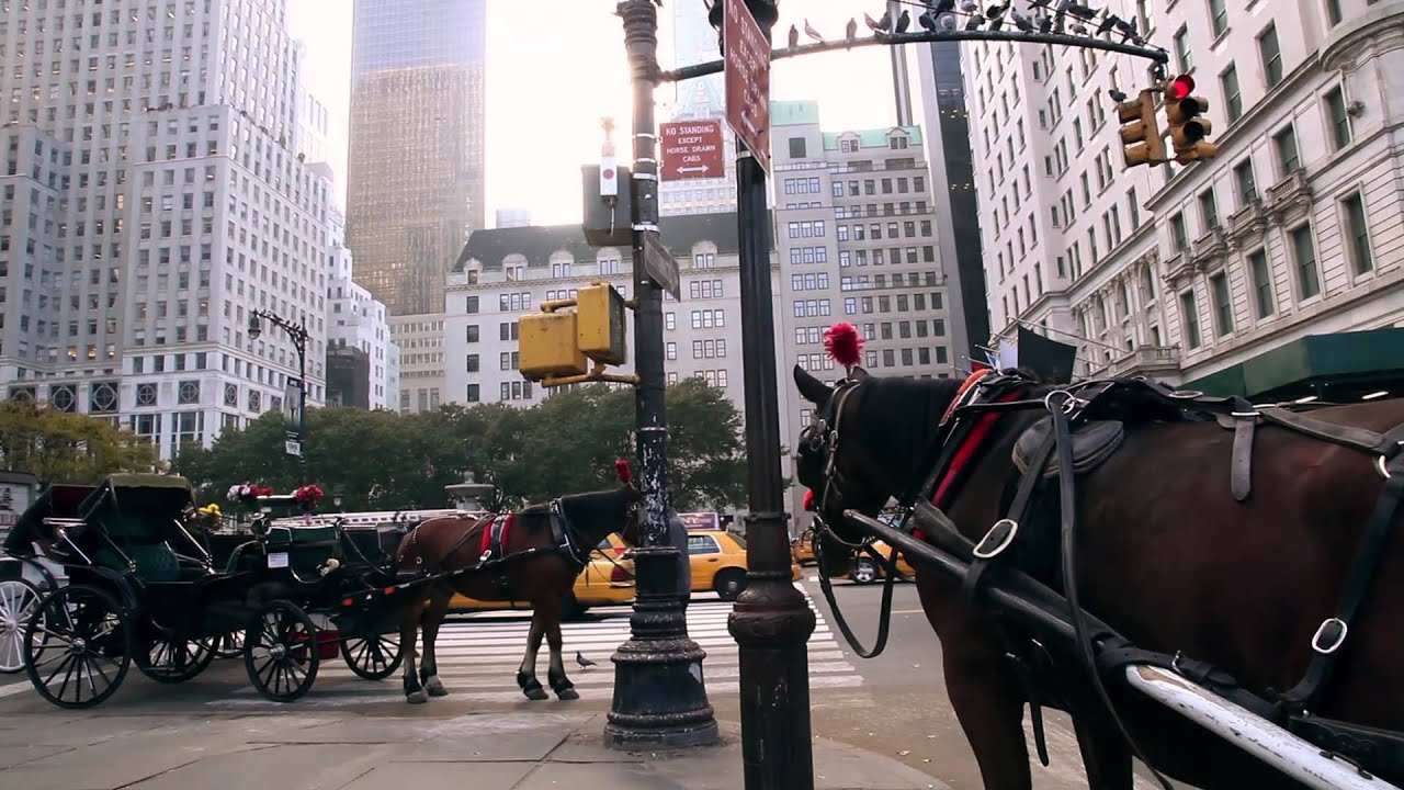 film festival sydney Scatter My Ashes at Bergdorf's - Trailer