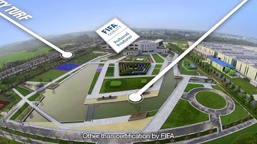 Artificial grass manufacturer biggest factory 2016 by CCGrass