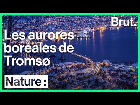 Vidéo: Meilleures croisières pour voir les aurores boréales