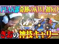 【涙】PEAK部でKWL魂の初KO!!ガチキャリーしました!!!!【荒野行動】
