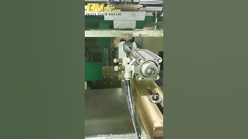 DM-200 Automatic screen printing machine with uv light,fit for glass plastic bottles/cups etc.