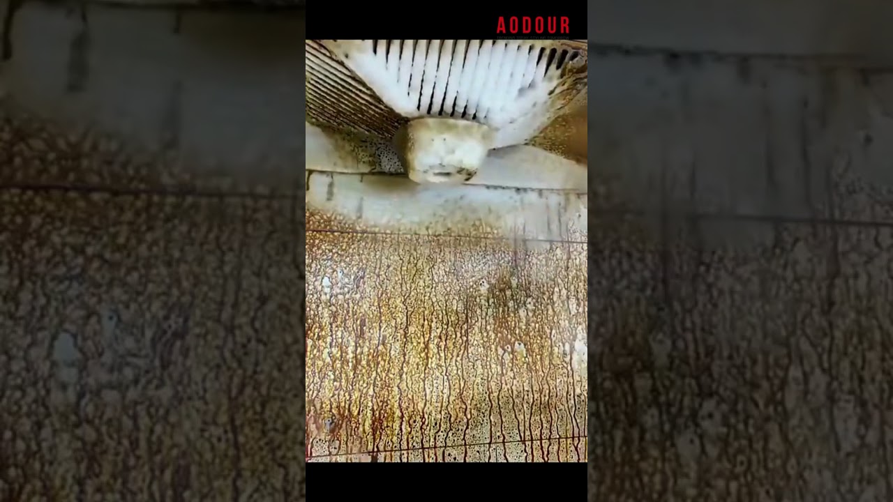 Kitchen Hood Cleaner Heavy Oil Stain Foam Cleaner🧼✨