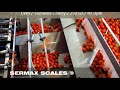 Sermax scales  2014  spanish  soluciones en pesaje industrial 