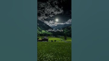 #القارئ #عمير_الشميم #سورة الرحمن #اكتب_شيء_تؤجر_عليه # رب المشرقين ورب المغربين