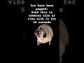 You have been pugged#pugged #share #whatsapp #discord #instagram #friends #family