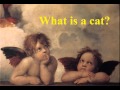 What is a cat?