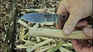 checking out the Esee AGK