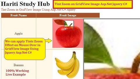 Tints Zoom effect of image on Mouse Over in Grid View Control Asp.Net C# Jquery | Hindi | Free Class