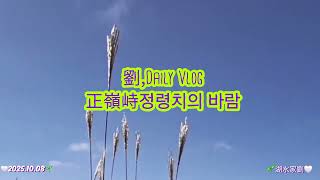  정령치(正嶺峙)에 부는 바람