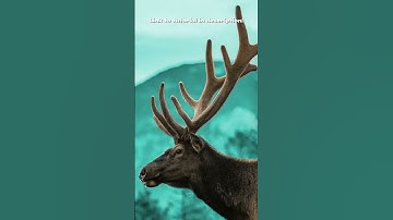 The BEST WAY to GLOW ANYTHING in GIMP! #shorts #gimptutorial #gloweffect