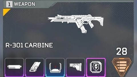 R301 but with disruptor rounds?