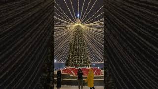 Новогодний Липецк 2022. Новый год в Нижнем парке и на Площади Петра Великого