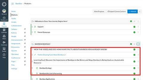 Creating Modules in Canvas LMS