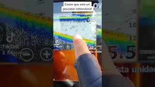 Cosas De Pescadores! #pesca #sonar #sonda #fishreveal #lobina #mrbass #lowrance #pescapredesove