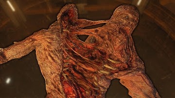 🔴LIVE - WHEN YOU THOUGHT THEY CAN