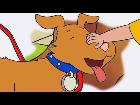 Le chien de Sarah | Caillou en Français