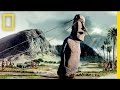 Walking with Giants: How the Easter Island Moai Moved | Nat Geo Live