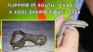 Flipping in South Texas on a cool spring night!!! 2024