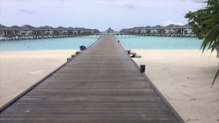 MALDIVES PARADISE 💦🐠 BEACHES, ISLANDS, HOTELS