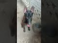 hàng tặng nhé anh em...