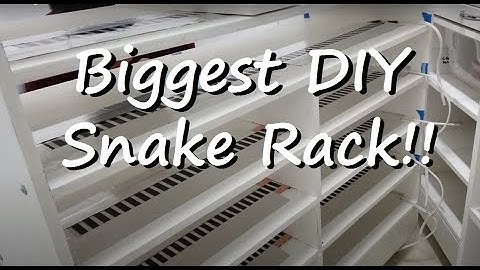 Ball Pythons - Best DIY rack I