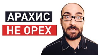 :   | Vsauce  