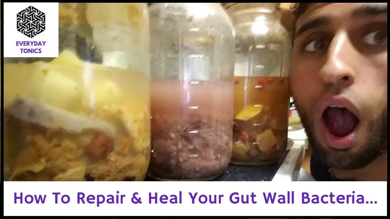 How To Repair & Heal Your Gut Wall Bacteria... YouTube