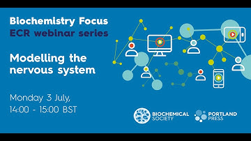 Biochemistry Focus ECR webinar series – Modelling the nervous system