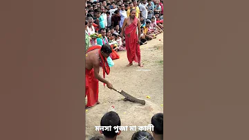 PACHARIA MANASHA PUJA Kali Maa Shorts Puja 