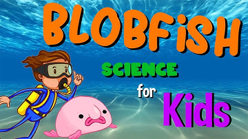 Blobfish | Science for kids