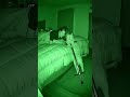Night jumps #funny #cat #sora