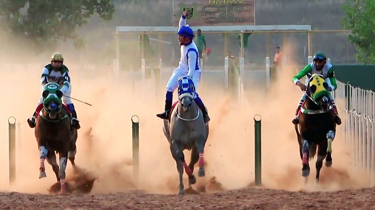 II GP HARAS CASA DO CAMPO  - Baixa Grande do Ribeiro / Classificatórias & Finais
