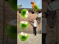 Rounding coconuts to Duck, Peacock, Pigeon & Parrot - Birds names magic video