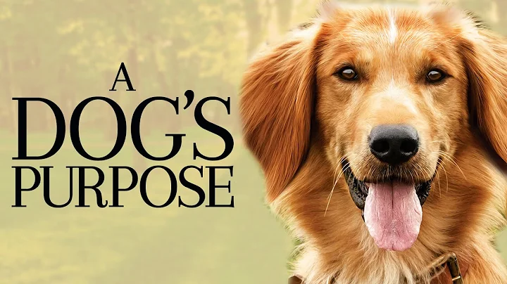 A Dog's Purpose 2017 Movie | Dennis Quaid, Josh Gad, KJ Apa | A Dog's Purpose Movie Full Review