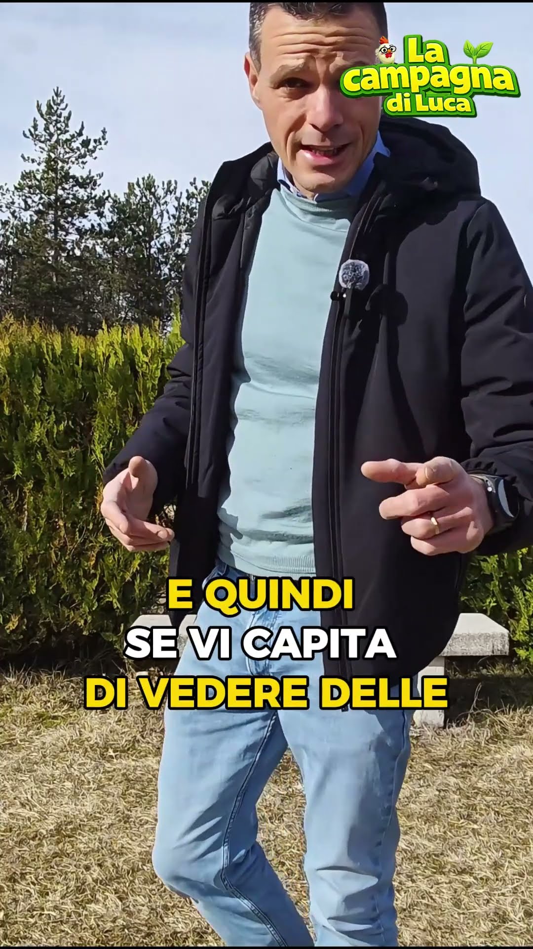 Perché le API si RISVEGLIANO a fine inverno? ???? I 3 SEGNALI che ANNUNCIANO la primavera
