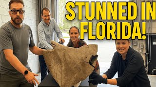 Backyard Hurricane Discovery Stuns Archaeologists